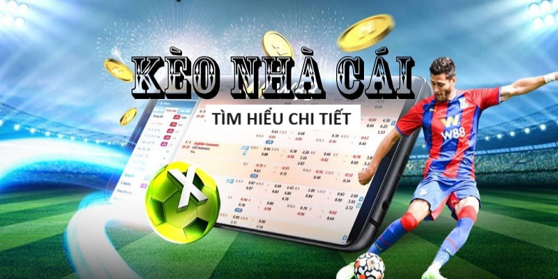 vg99-Sống động và hấp dẫn: Trực tiếp bóng đá! vg99-Sống động và hấp dẫn: Trực tiếp bóng đá!